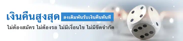 โปรโมชั่นเงินคืนสูงสุด